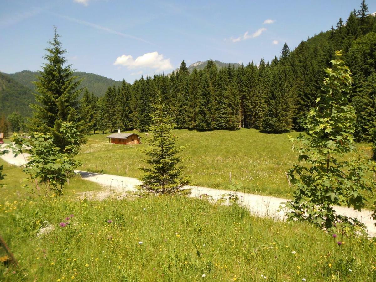Seewiesenalm Reit im Winkl Bagian luar foto
